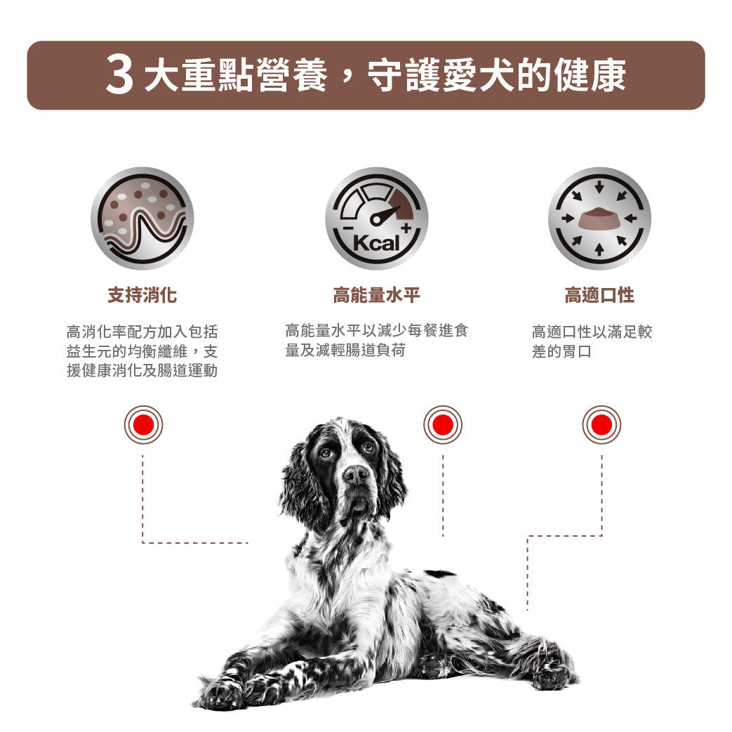 Royal Canin - VHN Dog GastroIntestinal 成犬腸胃處方糧