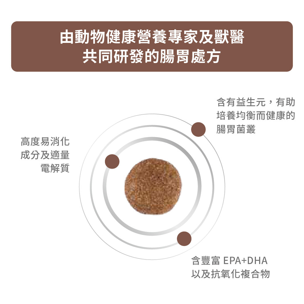 Royal Canin - VHN Dog GastroIntestinal 成犬腸胃處方糧