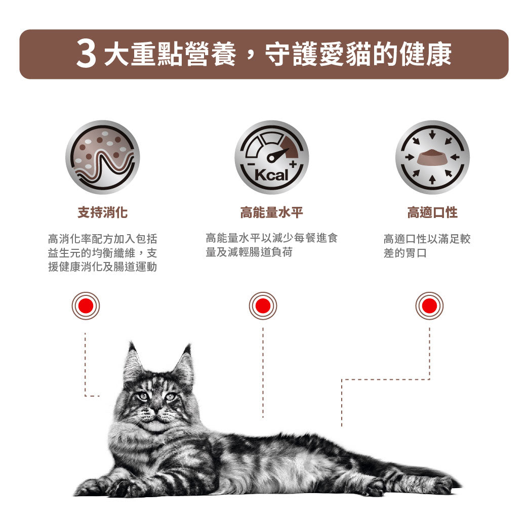 Royal Canin - VHN Cat GastroIntestinal成貓腸胃處方袋裝濕糧（肉汁）85g