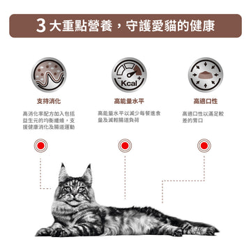 royal_canin_vhn_cat_gastrointestinal