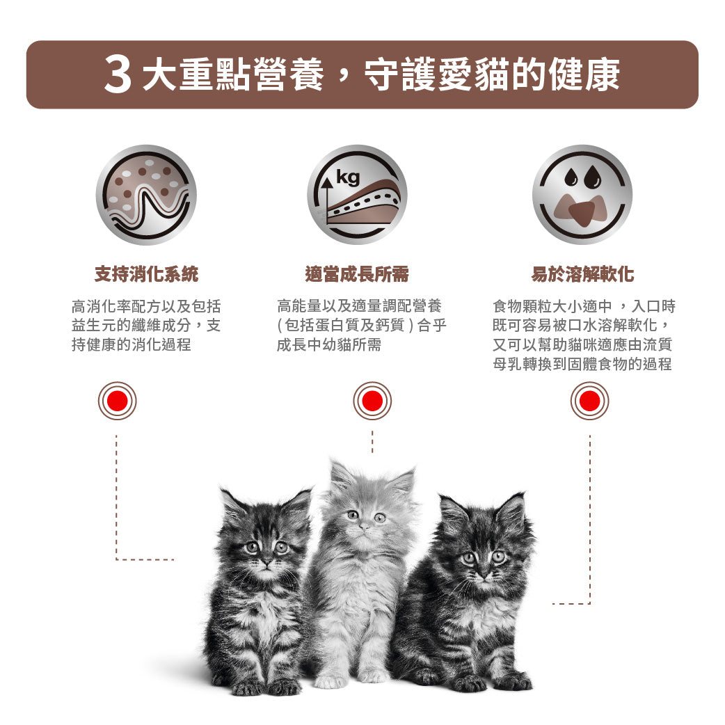 Royal Canin - VHN Cat GastroIntestinal Kitten 幼貓腸胃處方糧
