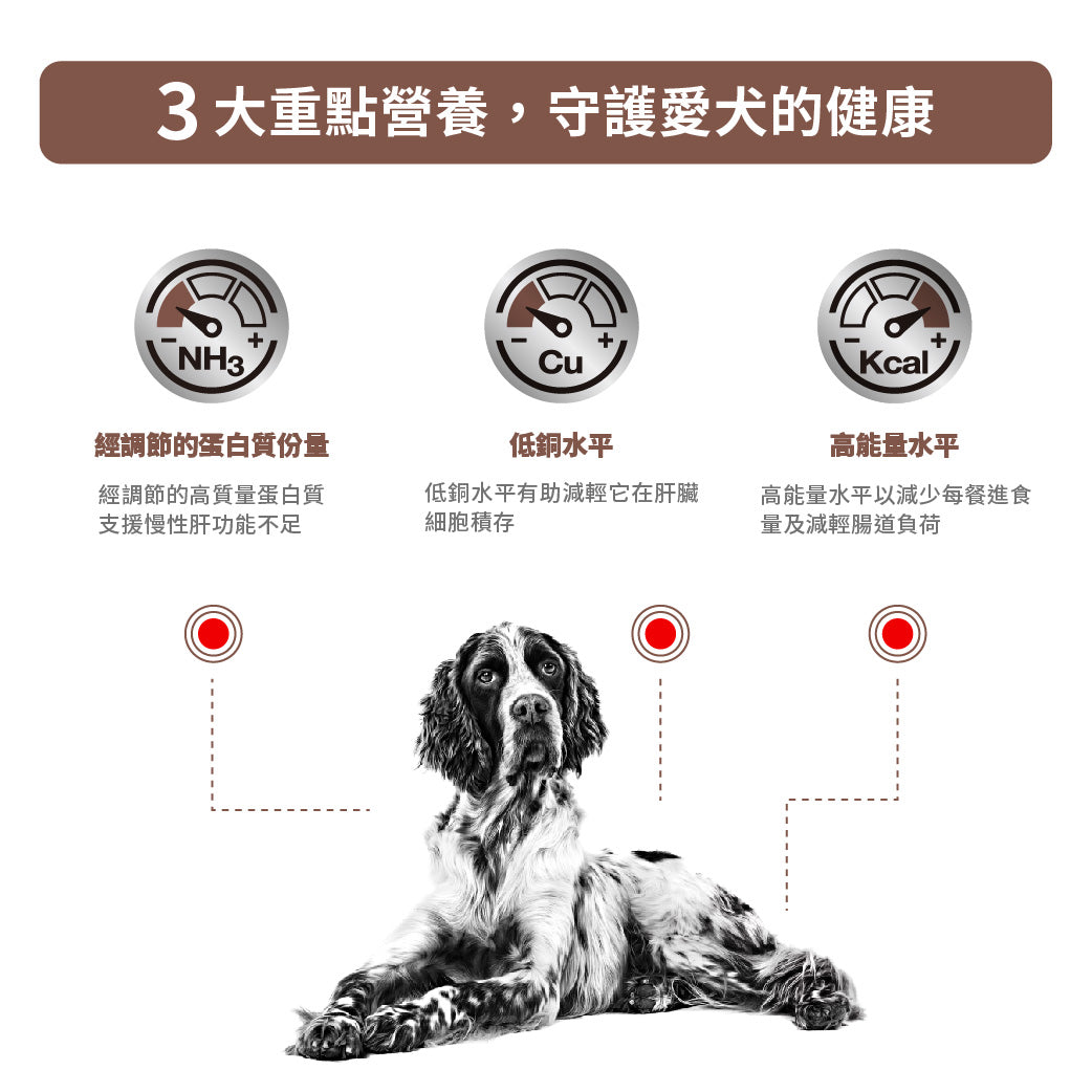 Royal Canin - VHN Dog Hepatic 成犬肝臟處方濕糧420g