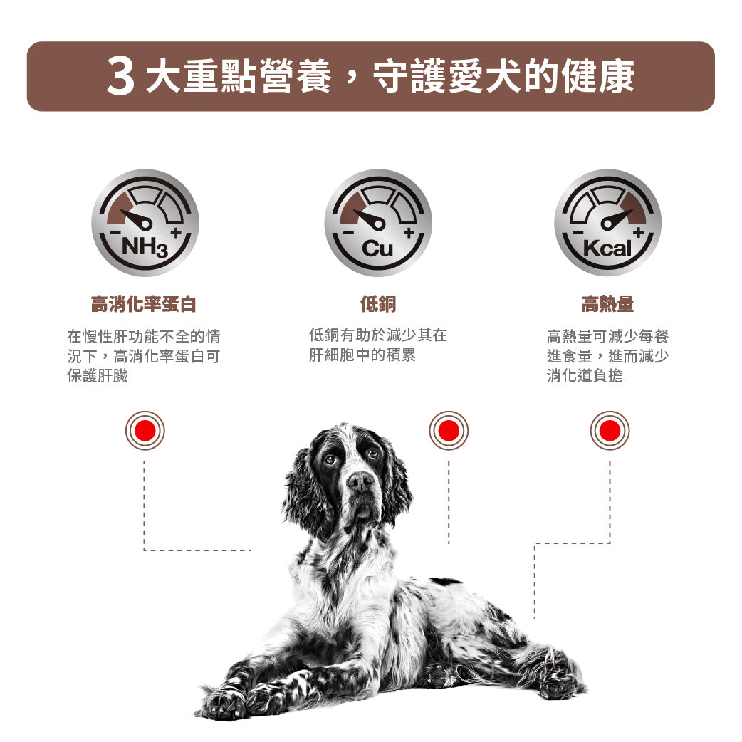 Royal Canin - VHN Dog Hepatic 成犬肝臟處方糧
