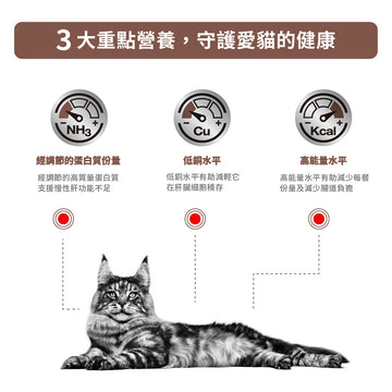 royal_canin_vhn_cat_hepatic
