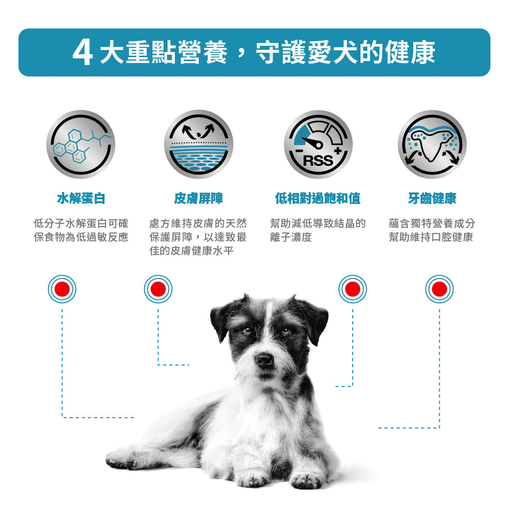 Royal Canin - VHN Hypoallergenic Small Dog 小型成犬低敏感處方糧