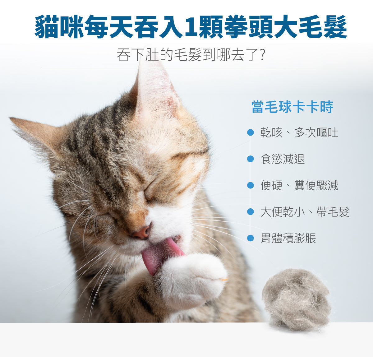 Moreson_木入森_貓咪排毛粉(貓草)_30_包_(貓用)_Hairball_Relief_Formula_(Wheatgrass)