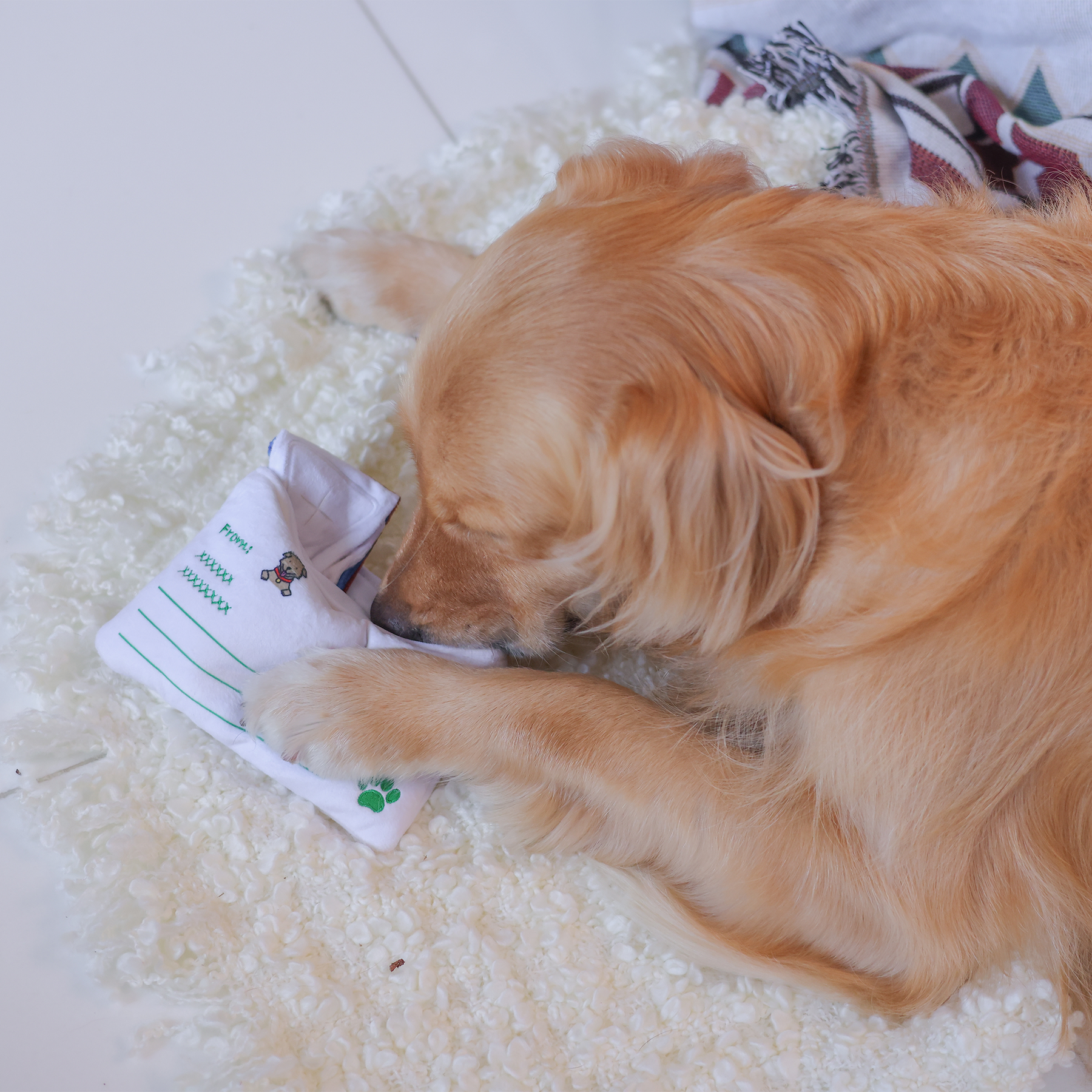 Woof_香港空郵信件藏食毛絨寵物玩具