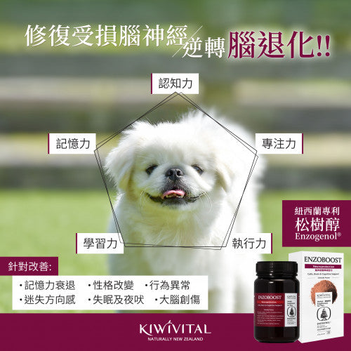 Kiwivital Enzoboost 貓狗專用松樹醇腦神經醫學級配方保健粉 120g