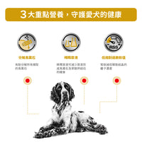 Royal Canin - VHN Dog Urinary 成犬泌尿道處方濕糧罐頭410g