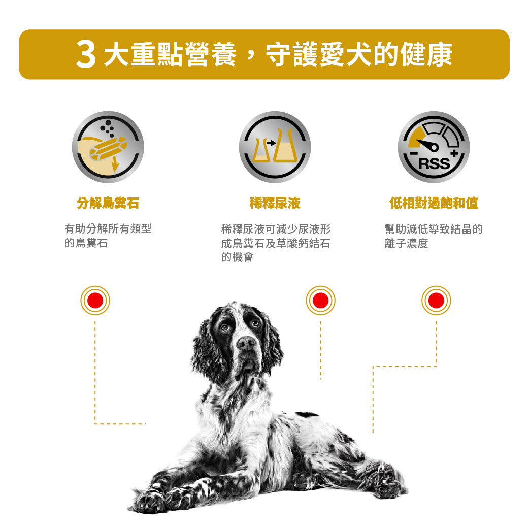 Royal Canin - VHN Dog Urinary 成犬泌尿道處方濕糧100g