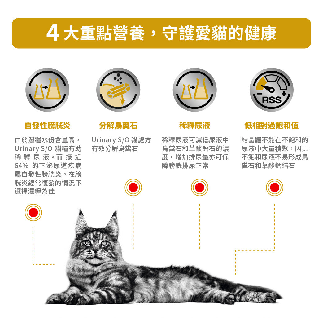 Royal Canin - VHN Cat Urinary (Gravy)成貓泌尿道處方濕糧（肉汁）85g