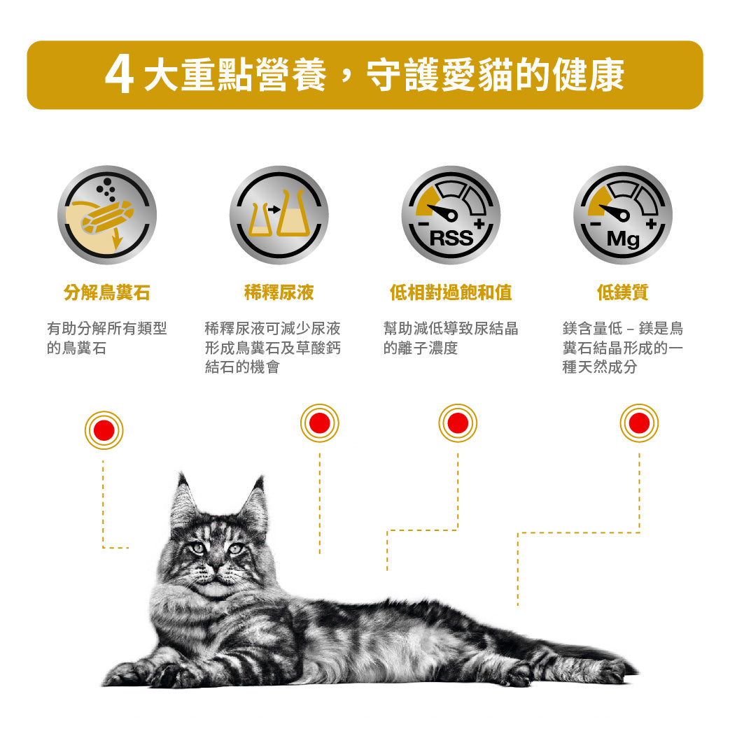 Royal Canin - VHN Cat Urinary 成貓泌尿道處方糧