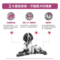 Royal Canin - VHN Dog Mobility 成犬關節活動處方糧