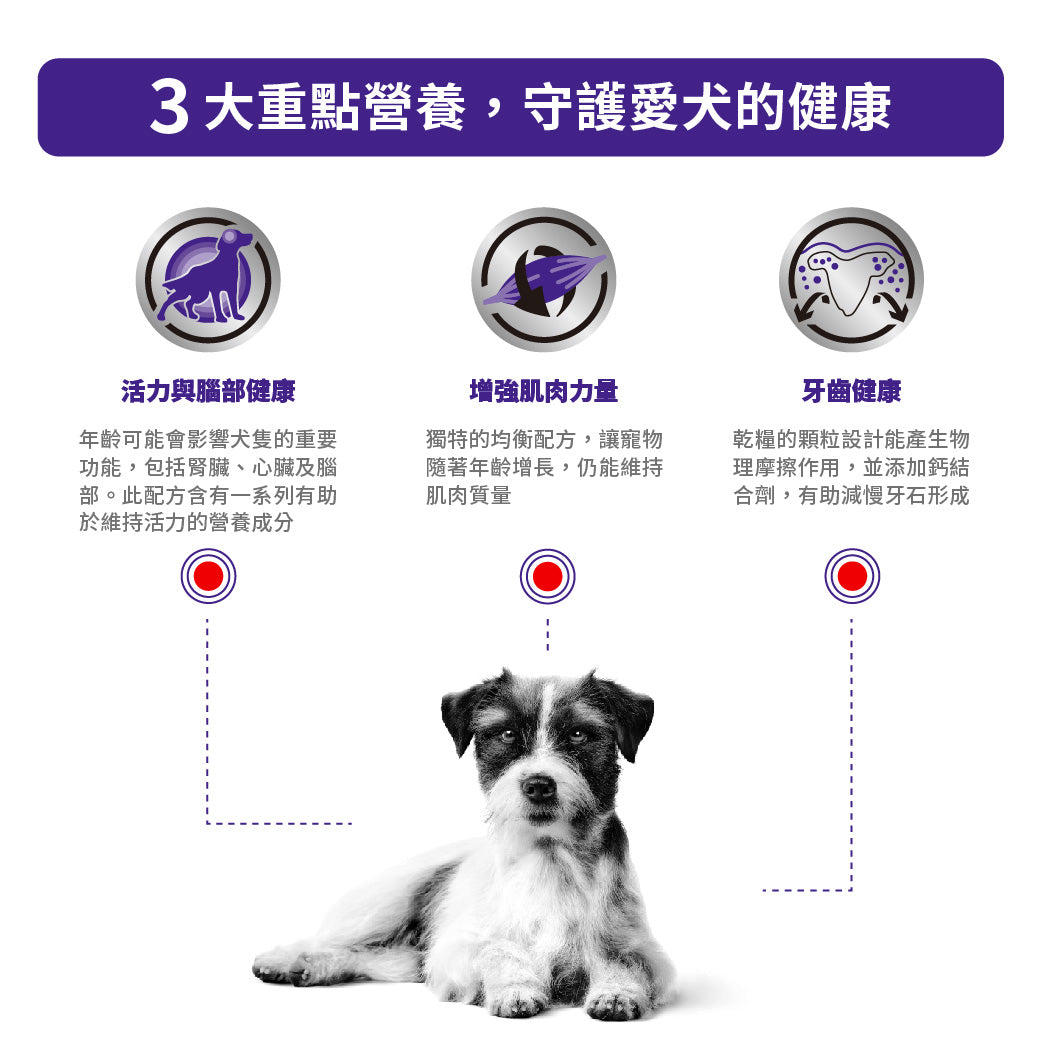 Royal Canin - VHN Mature Consult Small Dog 小型老年犬處方糧