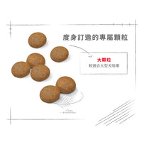 Royal Canin 法國皇家狗乾糧 - 大型成犬5+營養配方 Maxi Adult 5+ 15kg