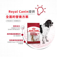 Royal Canin 法國皇家狗乾糧 - 中型成犬7+營養配方 Medium Adult 7+