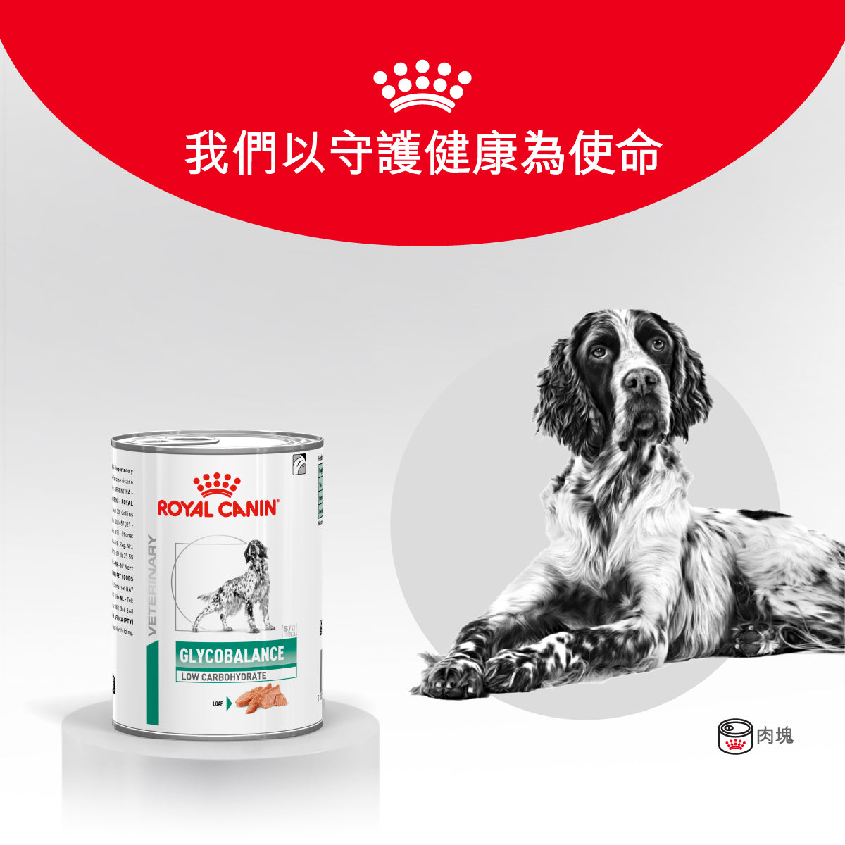 Royal Canin - VHN Dog Glycobalance 成犬糖尿病控糖處方濕糧罐頭 410g