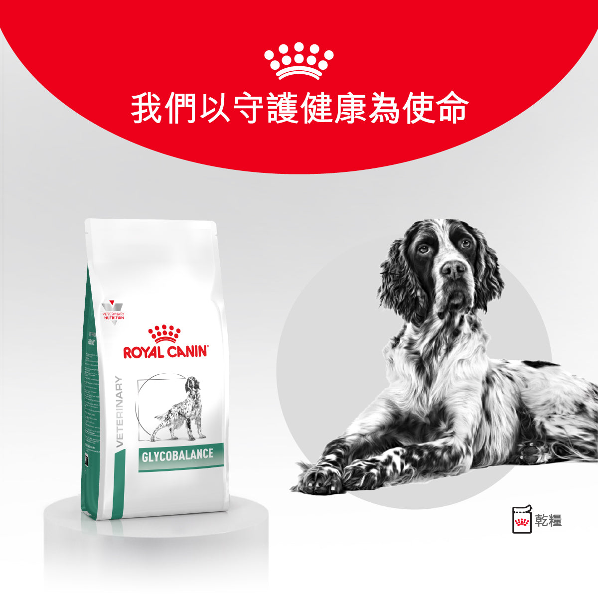 Royal Canin - VHN Dog Glycobalance 成犬糖尿病控糖處方糧