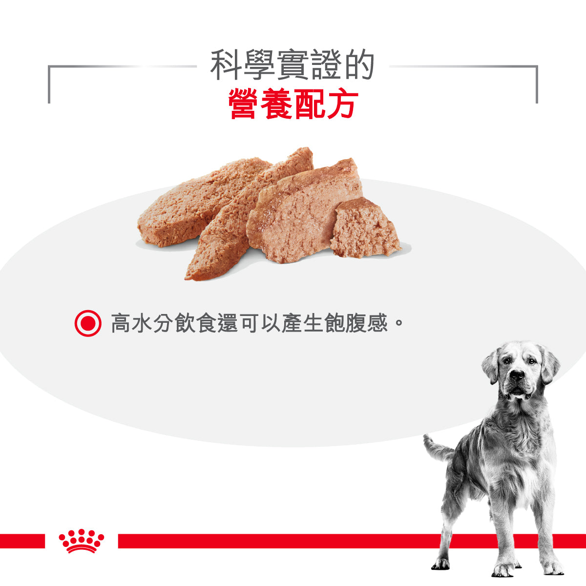 Royal Canin - VHN Dog Glycobalance 成犬糖尿病控糖處方濕糧罐頭 410g