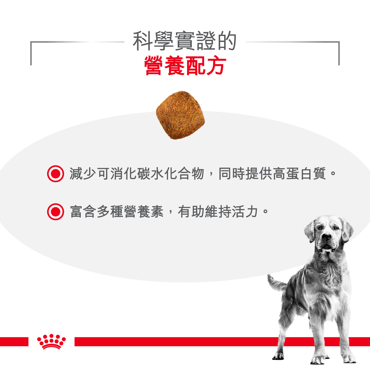 Royal Canin - VHN Dog Glycobalance 成犬糖尿病控糖處方糧