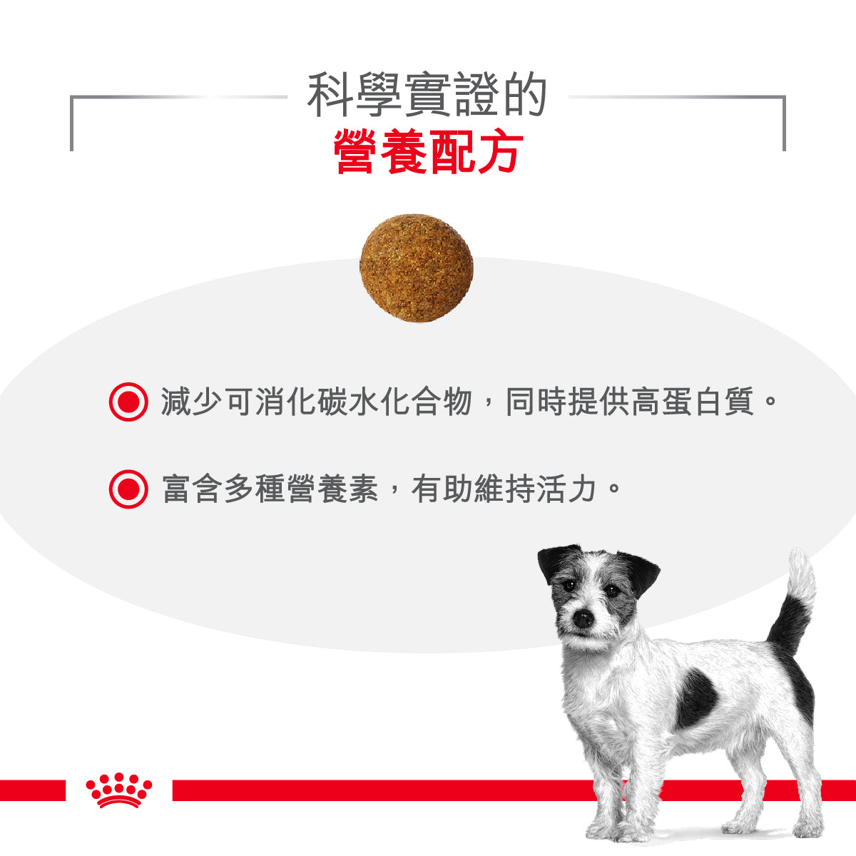 Royal Canin - VHN Dog Glycobalance Small Dog 小型成犬糖尿病控糖處方糧 1.5kg
