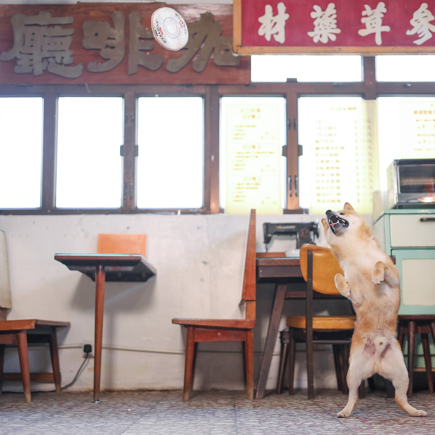 Woof_港式奶茶二合一藏食寵物玩具