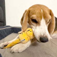 Woof_燒賣兄弟毛絨寵物玩具