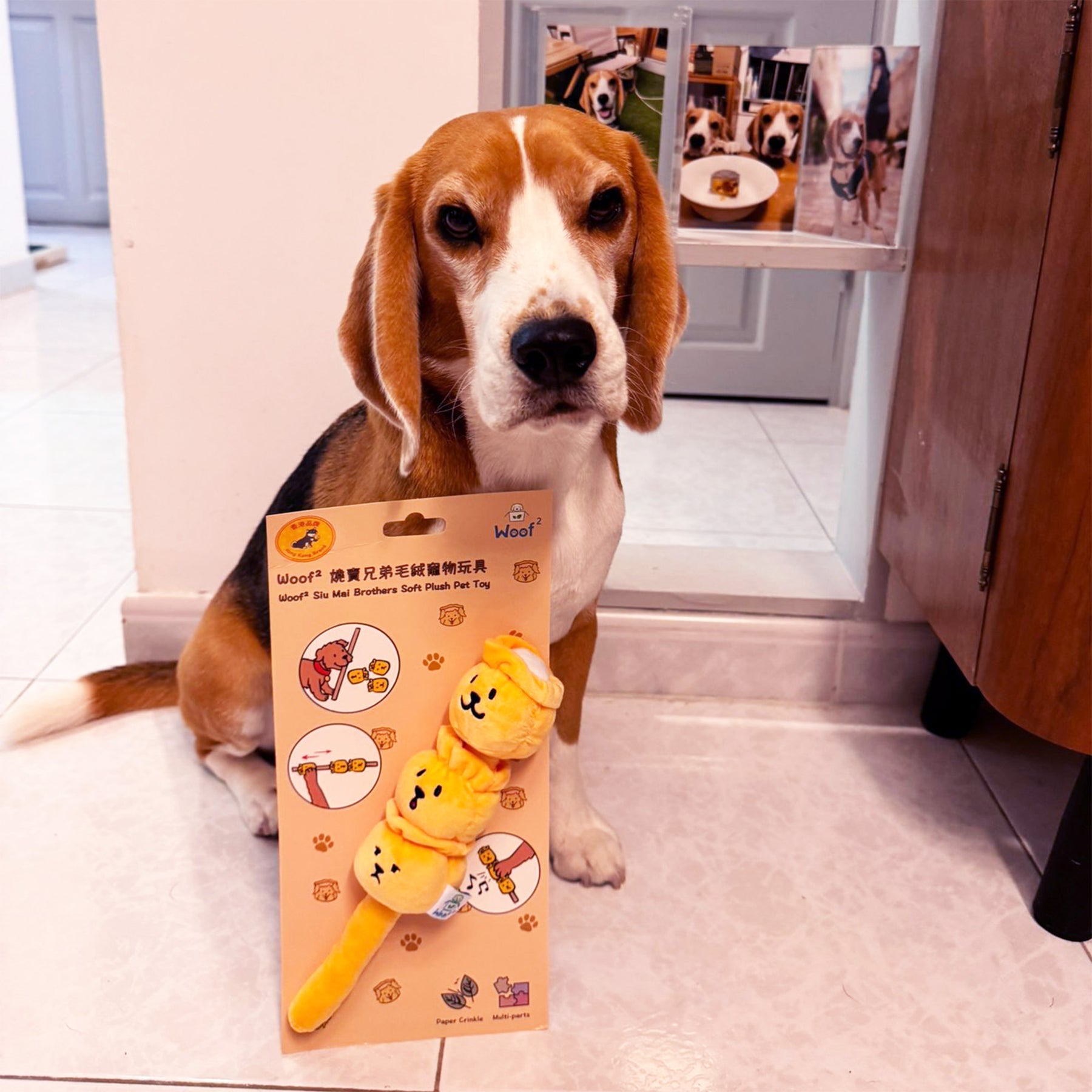 Woof_燒賣兄弟毛絨寵物玩具