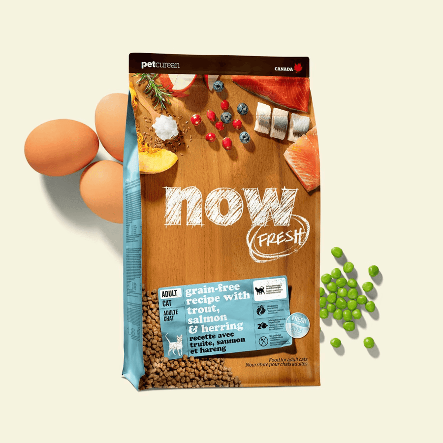 NOW FRESH 成貓配方(鱒魚, 三文魚及鯡魚) ADULT CAT FISH
