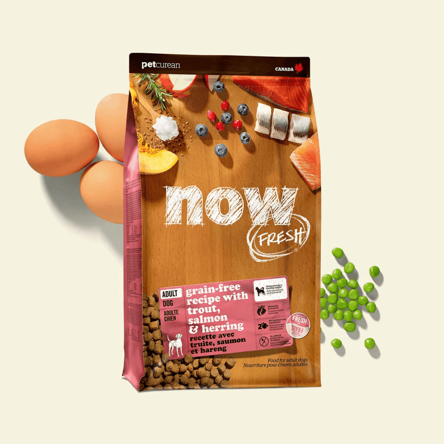 NOW FRESH 成犬乾糧魚肉配方 (鱒魚, 三文魚及鯡魚) ADULT DOG FISH