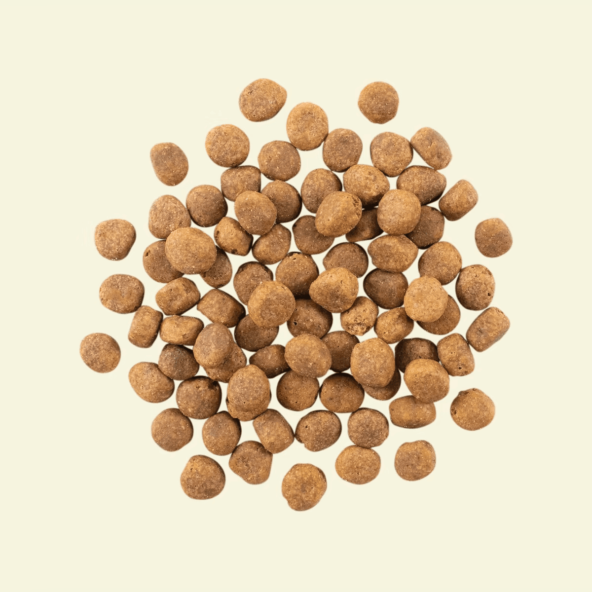 NOW FRESH 成犬乾糧魚肉配方 (鱒魚, 三文魚及鯡魚) ADULT DOG FISH