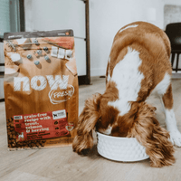 NOW FRESH 成犬乾糧魚肉配方 (鱒魚, 三文魚及鯡魚) ADULT DOG FISH