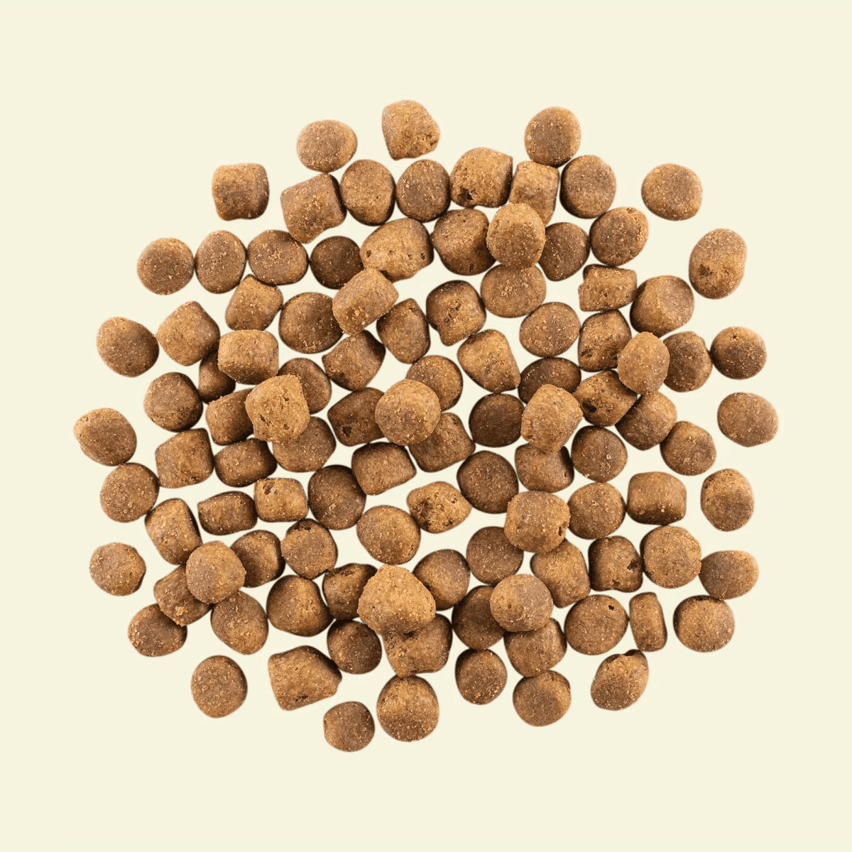 NOW FRESH 成犬乾糧紅肉配方 (羊及豬) ADULT DOG RED MEAT