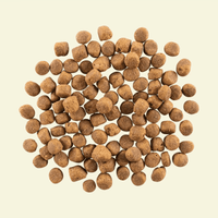 NOW FRESH 成犬乾糧紅肉配方 (羊及豬) ADULT DOG RED MEAT