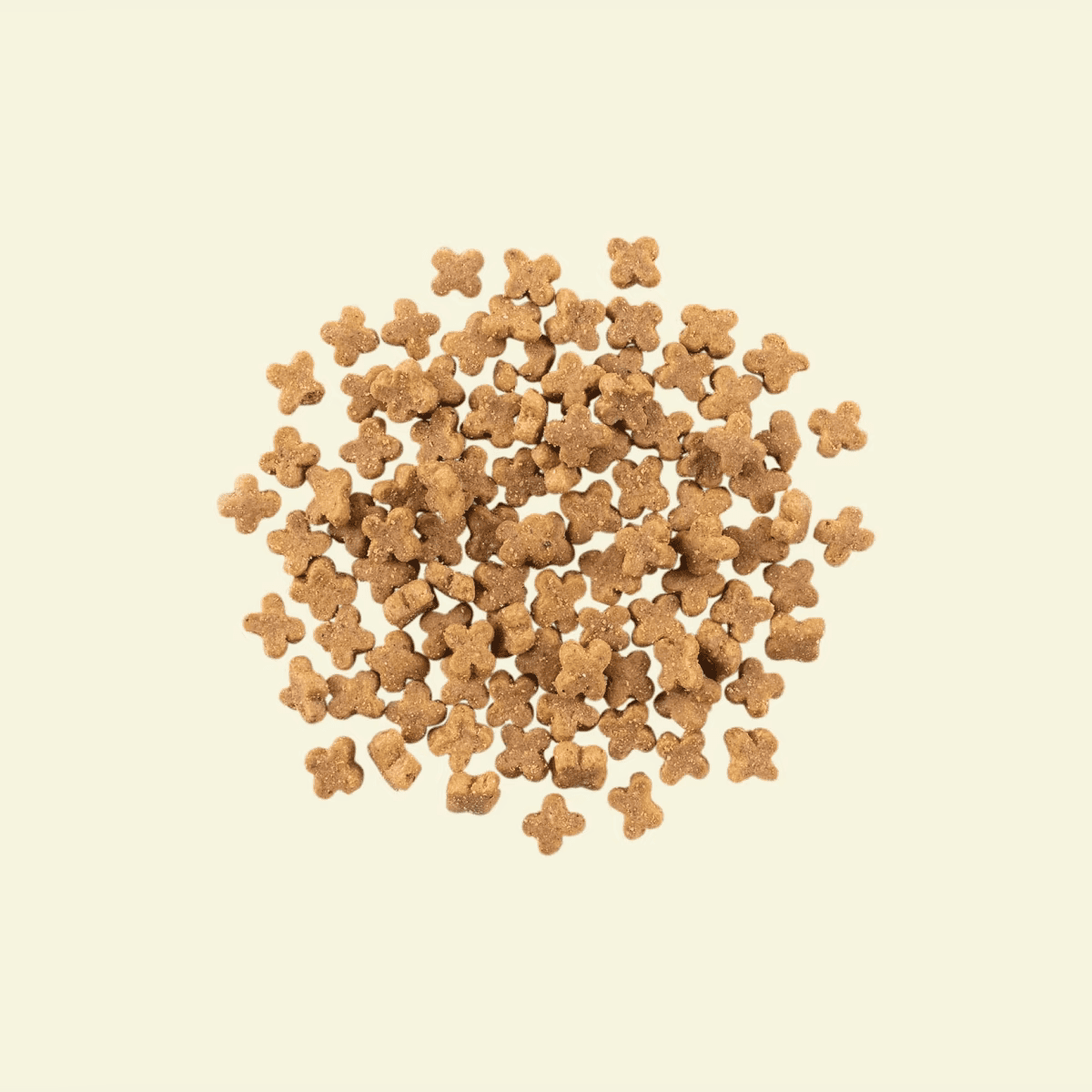 NOW FRESH 小型成犬乾糧魚肉配方 (鱒魚, 三文魚及鯡魚) ADULT SMALL BREED FISH