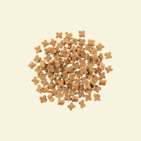 NOW FRESH 小型成犬乾糧魚肉配方 (鱒魚, 三文魚及鯡魚) ADULT SMALL BREED FISH