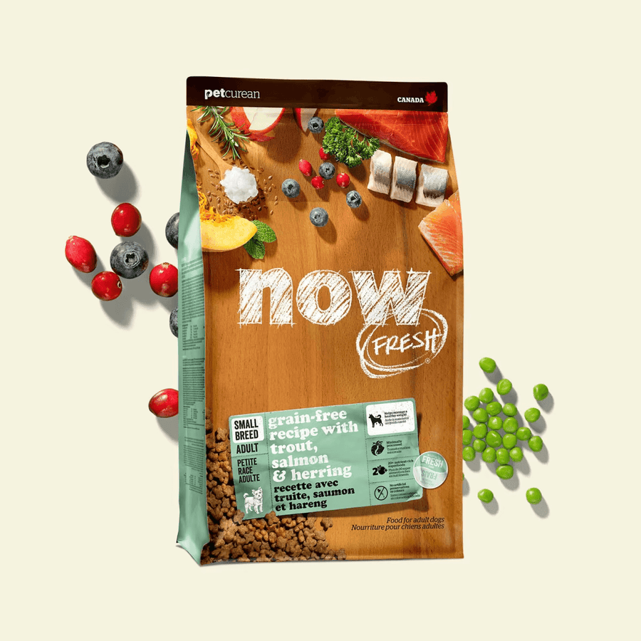 NOW FRESH 小型成犬乾糧魚肉配方 (鱒魚, 三文魚及鯡魚) ADULT SMALL BREED FISH