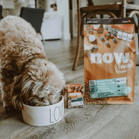 NOW FRESH 小型成犬乾糧魚肉配方 (鱒魚, 三文魚及鯡魚) ADULT SMALL BREED FISH