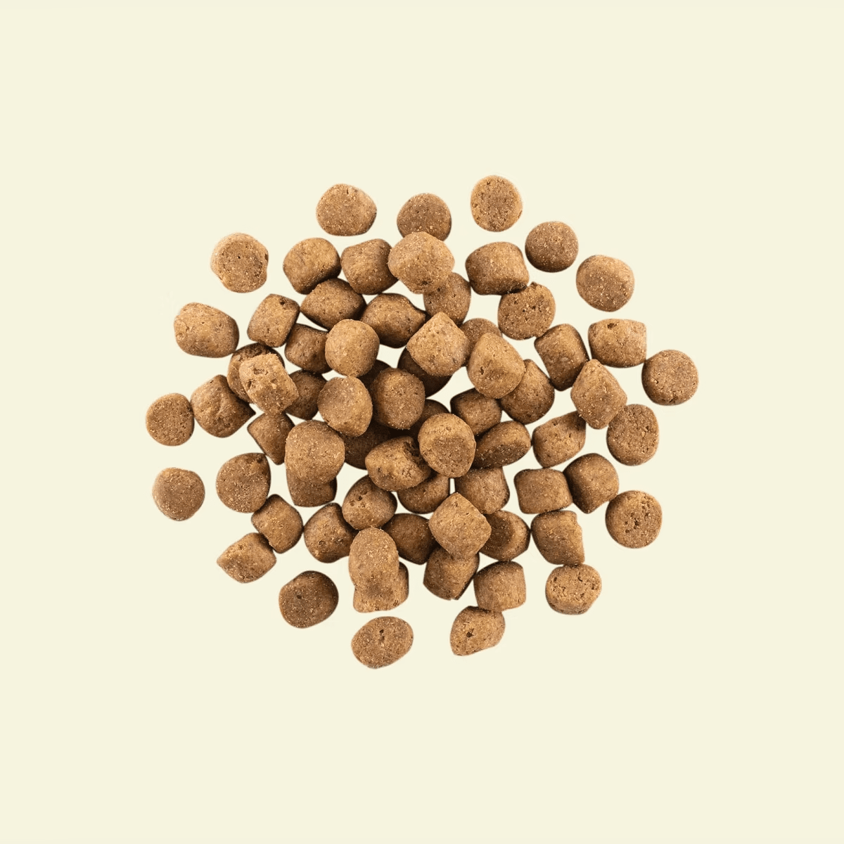 NOW FRESH 無穀物成犬乾糧 (火雞+三文魚+鴨肉) GRAIN FREE ADULT