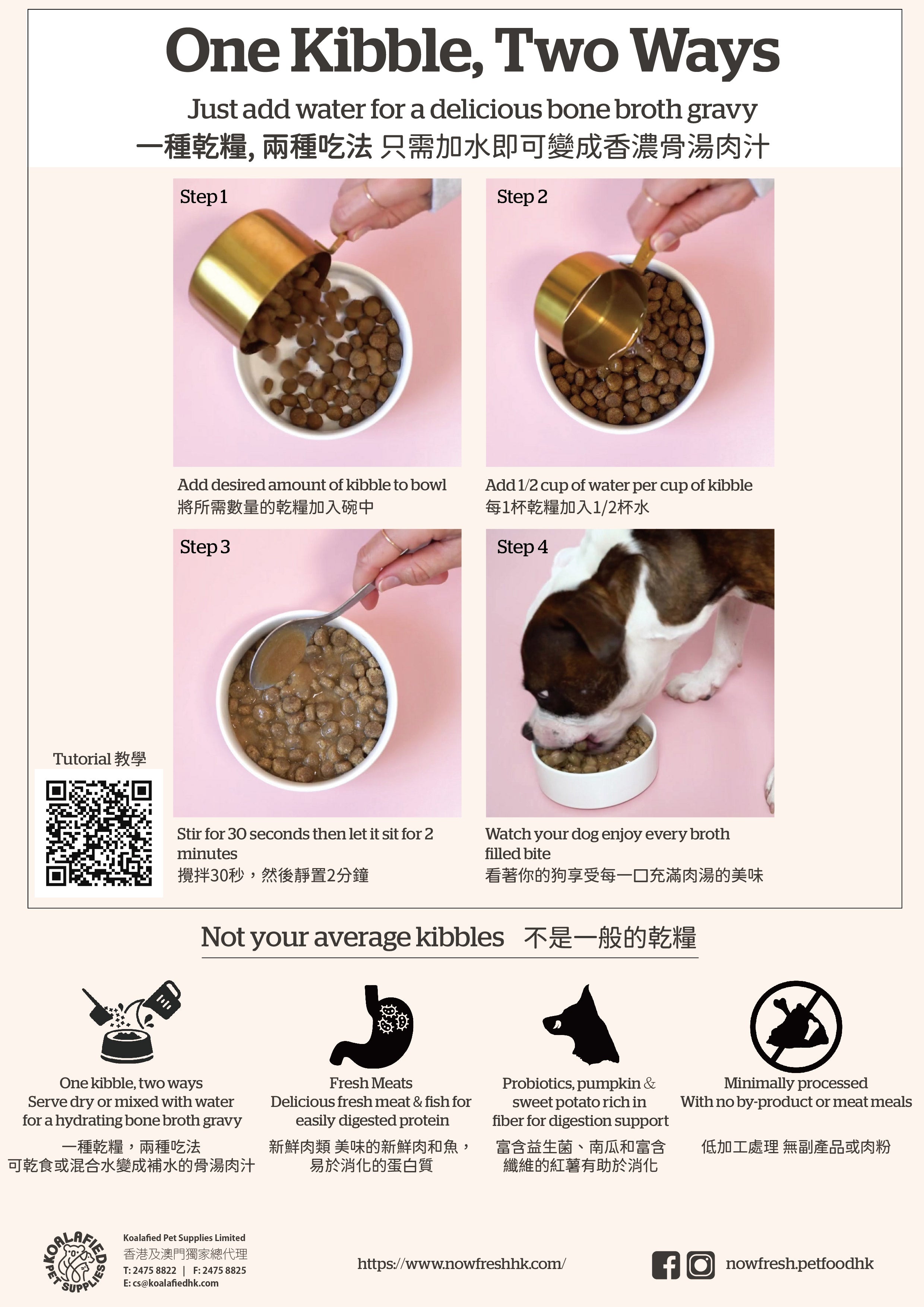 NOWFRESH Good Gravy 香濃火雞骨湯外層乾糧 成貓 雞肉配方(含古代穀物)