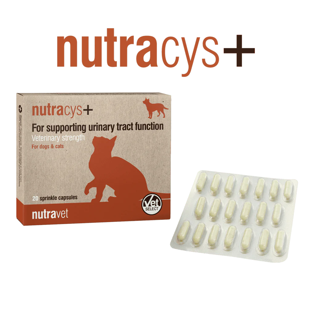 Nutravet_nutracys+_for_dog_&_cat_220s'_1