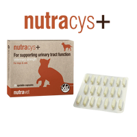 Nutravet_nutracys+_for_dog_&_cat_220s'_1