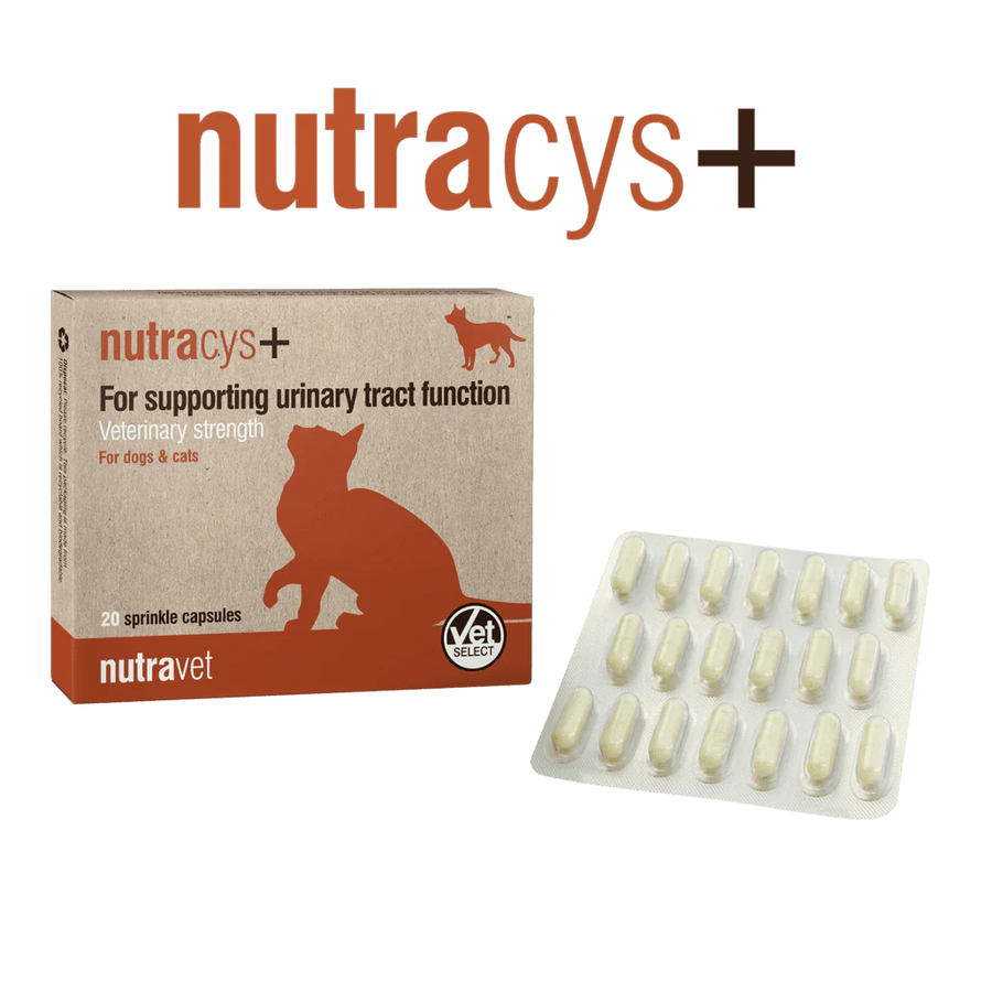 Nutravet_nutracys+_for_dog_&_cat_220s'_1