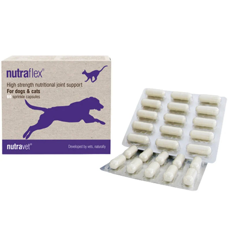 Nutravet_nutraflex_for_dog_&_cat_60's_x_1