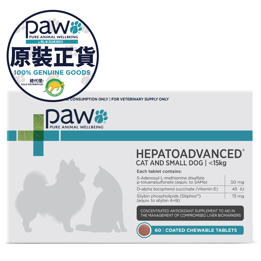 PAW HEPATOADVANCED CAT & SMALL DOG, 60 Chewable Tablets 肝臟高效護理配方咀嚼片 (貓隻及小型犬) 60粒裝