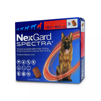 NexGard_Spectra_Chewables_For_Dogs_XL_(>30kg-60kg)