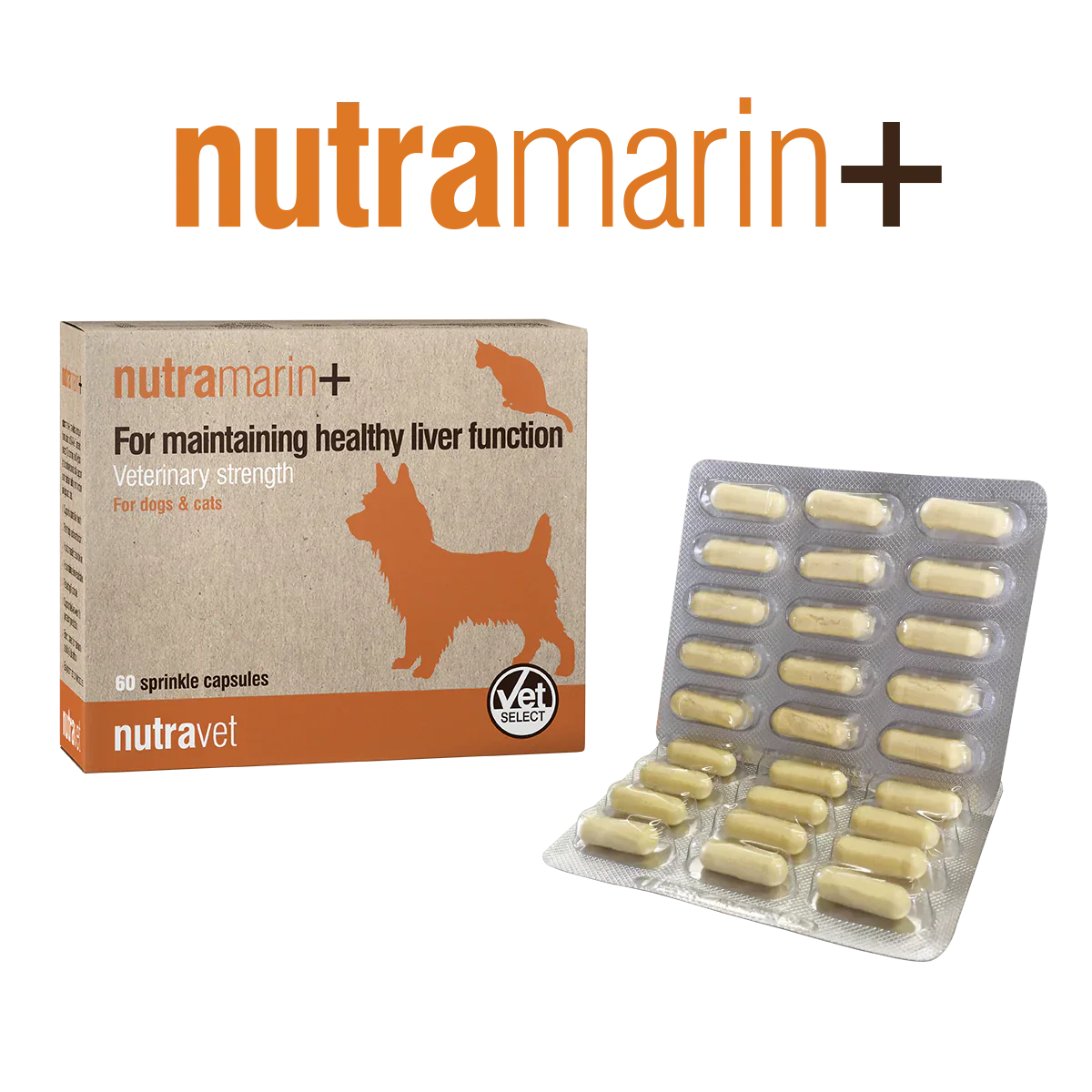 Nutravet_nutramarin+_for_dog_&_cat_60's_x_1