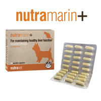 Nutravet_nutramarin+_for_dog_&_cat_60's_x_1