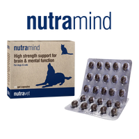 Nutravet_nutramind_for_dog_&_cat_45's_x_1