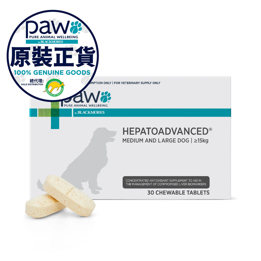 PAW HEPATOADVANCED MEDIUM & LARGE DOG, 30 Chewable Tablets 肝臟高效護理配方咀嚼片 (中型及大型犬) 30粒裝